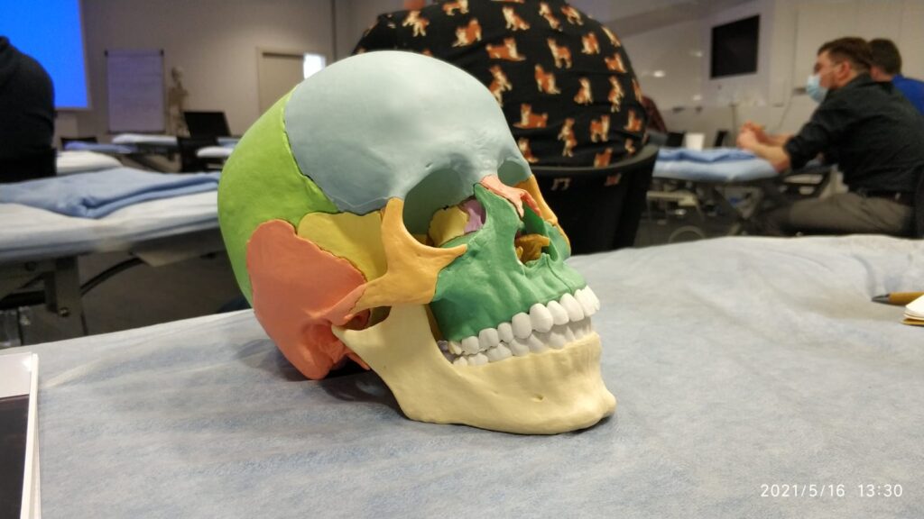 Gabinet osteopatii i fizjoterapii Vertebra
