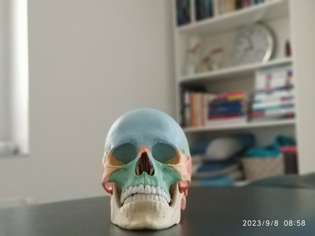 Gabinet osteopatii i fizjoterapii Vertebra