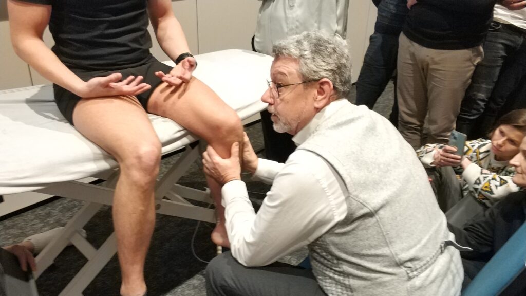 Gabinet osteopatii i fizjoterapii Vertebra