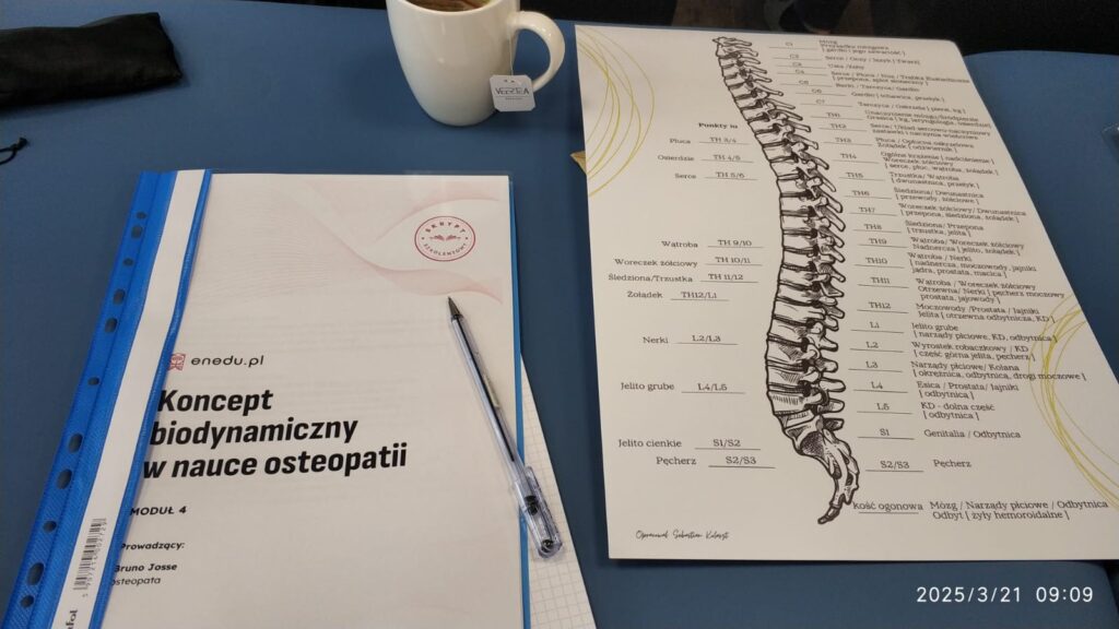 Kursy z osteopatii - Adam Joszonek